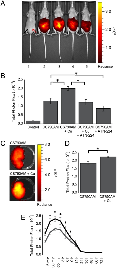 Fig. 4.