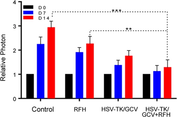 Figure 7b: