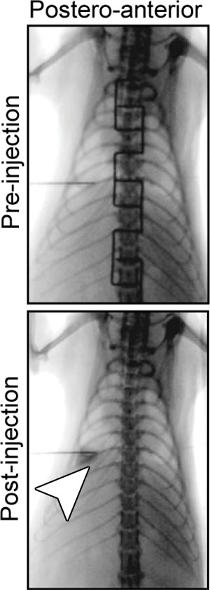 Figure 5a: