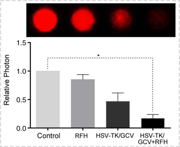 Figure 3c: