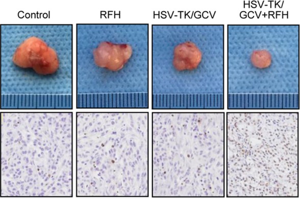 Figure 4c: