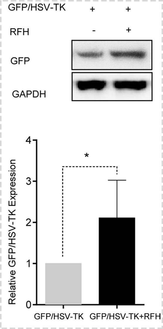 Figure 3d: