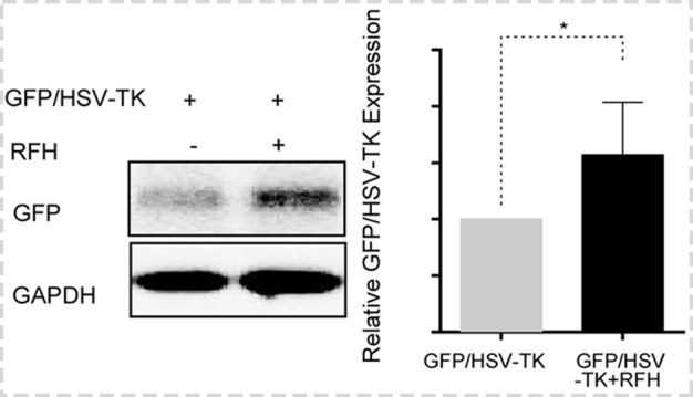 Figure 7c: