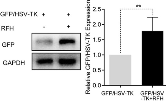 Figure 4d: