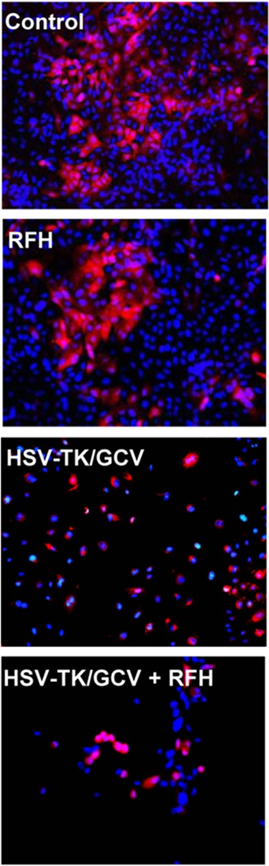 Figure 3a: