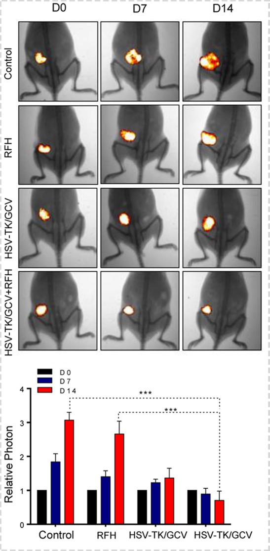 Figure 4a: