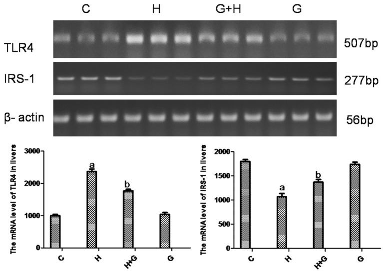 Figure 4