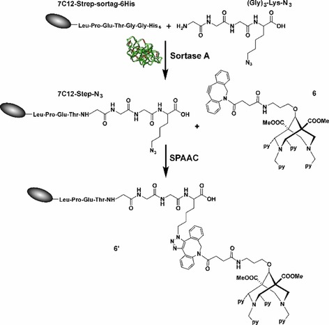 Scheme 2