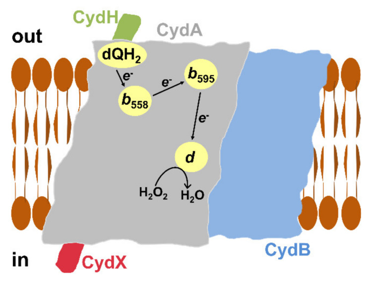 Figure 7