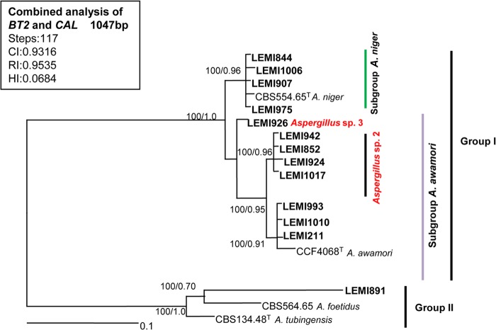 FIG 2