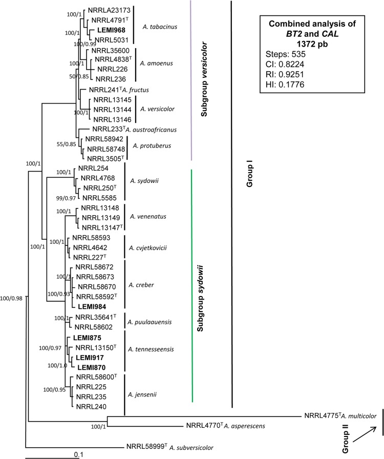 FIG 3