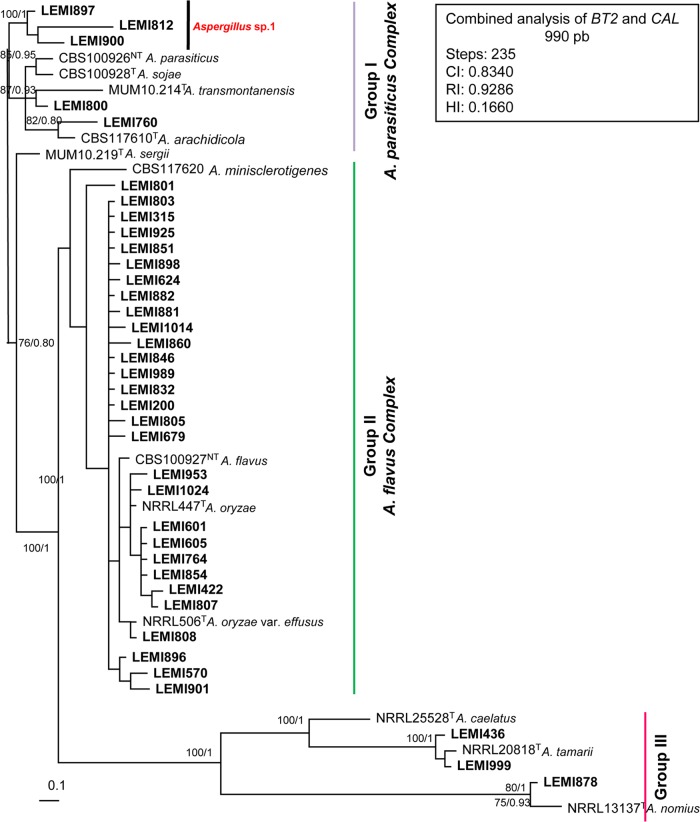 FIG 1