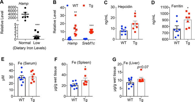 Figure 6.