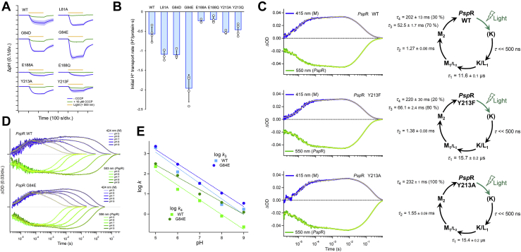 Figure 4