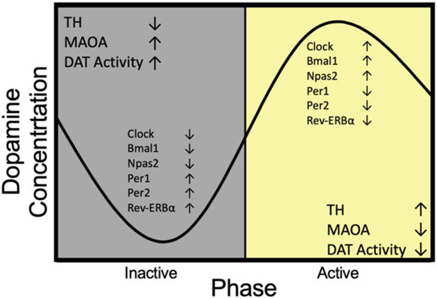 Fig. 4.1