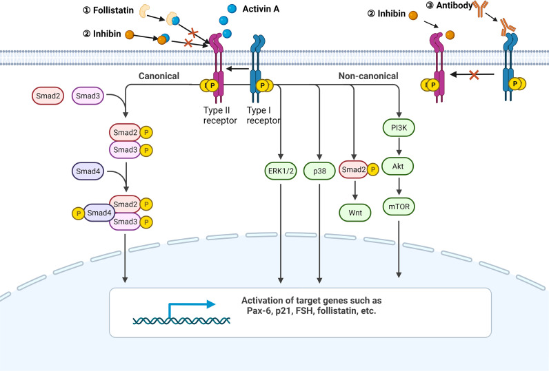 Figure 1