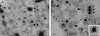 FIG. 11.