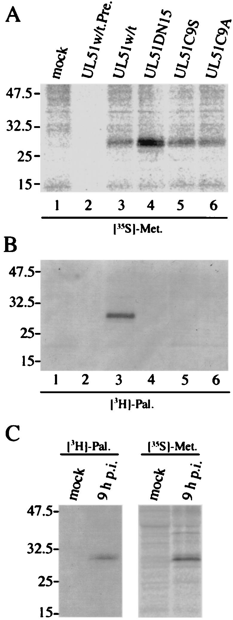 FIG. 8.