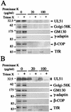 FIG. 10.