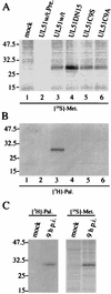 FIG. 8.