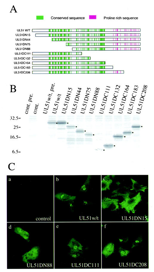 FIG. 6.