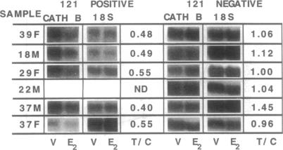 graphic file with name pnas01134-0021-b.jpg