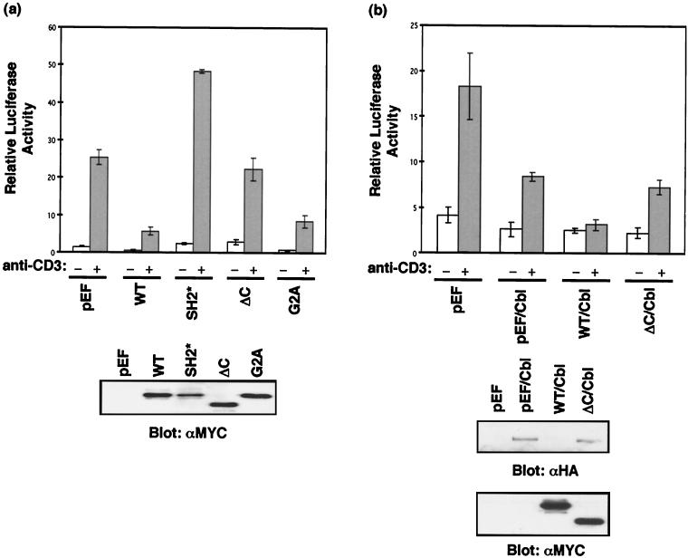 FIG. 8.