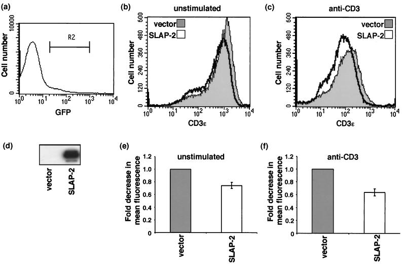 FIG. 10.