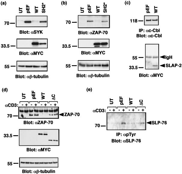 FIG. 9.