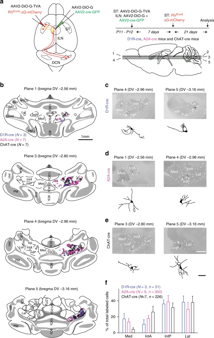 Fig. 3