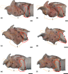 FIGURE 12