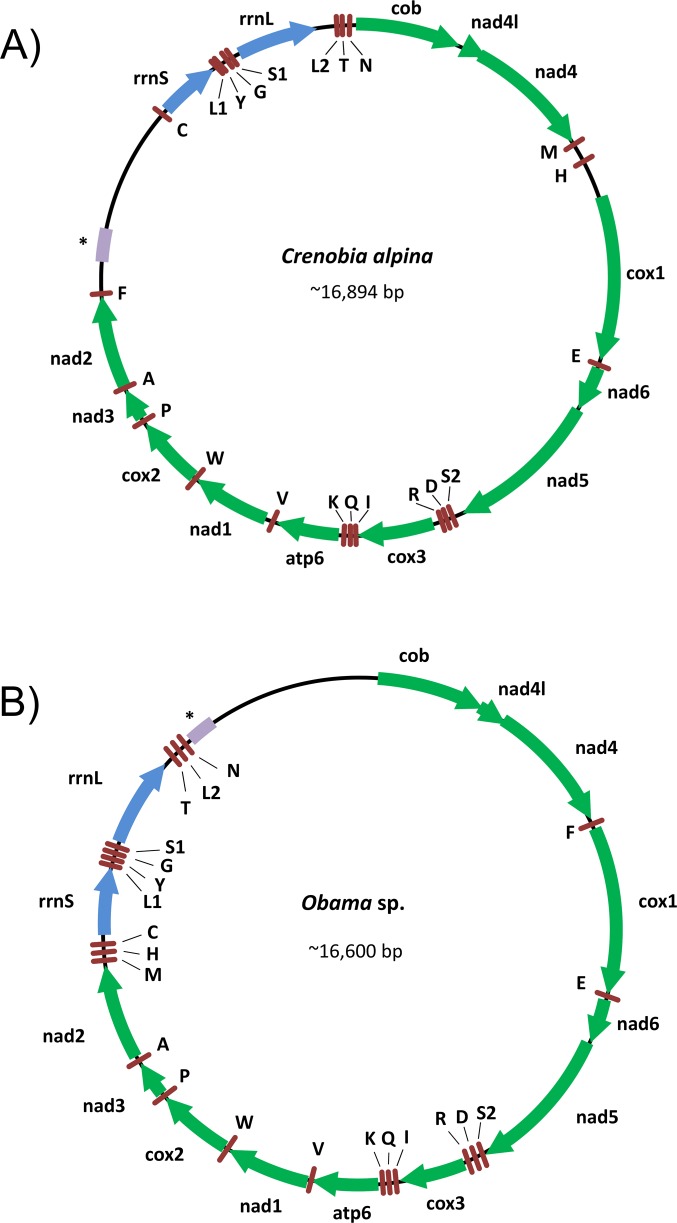 Fig 2