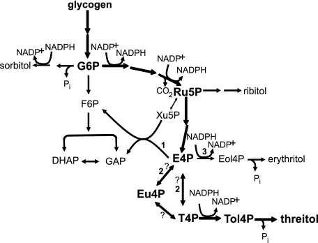 SCHEME 1.