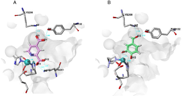 Figure 4