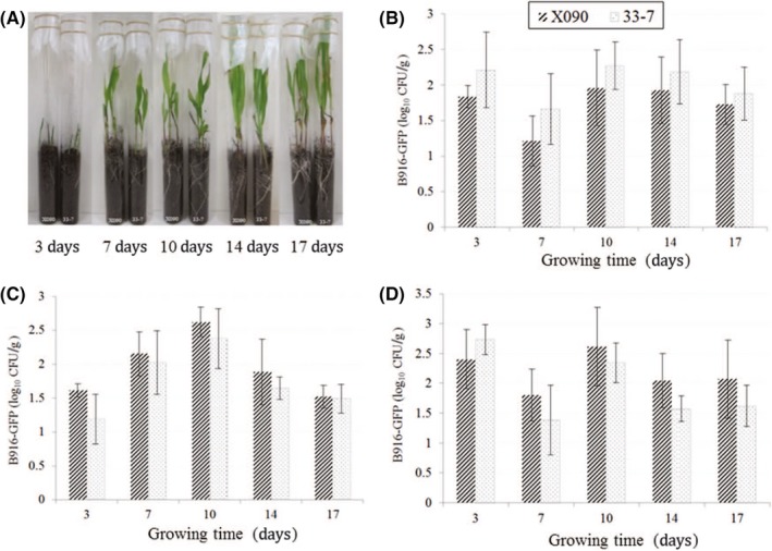 Figure 2