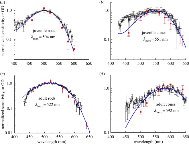 Figure 3.