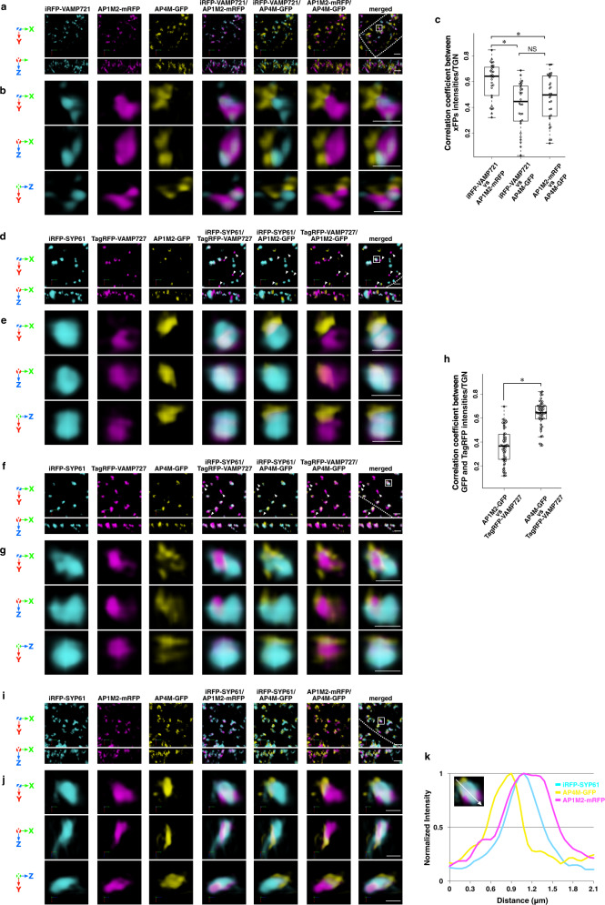 Fig. 2