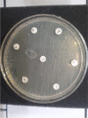 Fig. 3