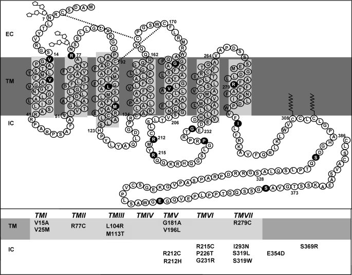 FIGURE 1.