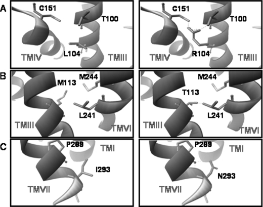 FIGURE 4.