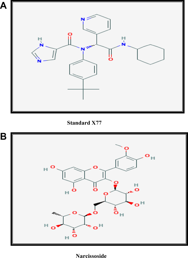 Fig. 1