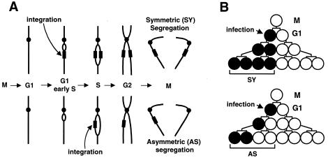 FIG. 1.