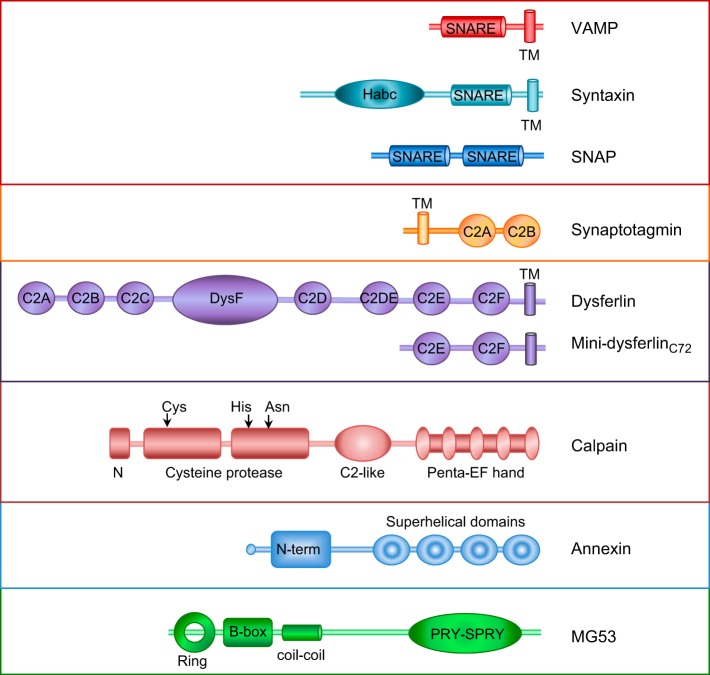 Figure 6.