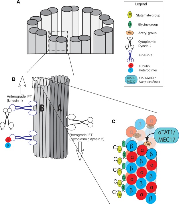 Figure 2.