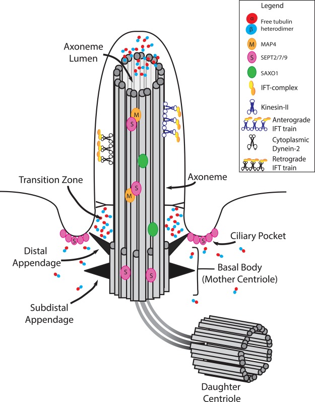 Figure 1.