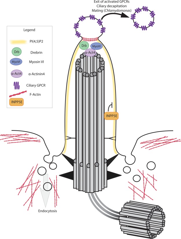 Figure 3.