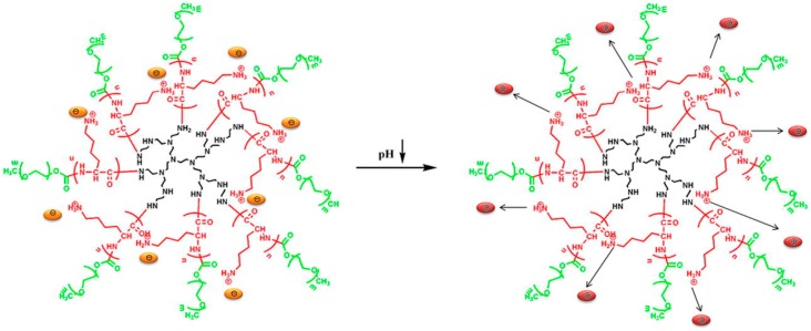 Figure 40