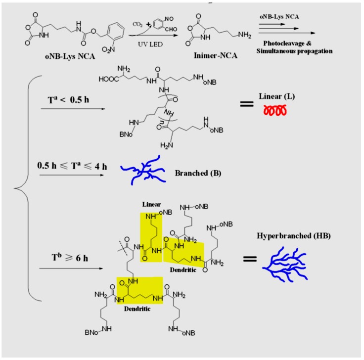 Figure 53