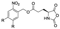 graphic file with name polymers-09-00551-i013.jpg