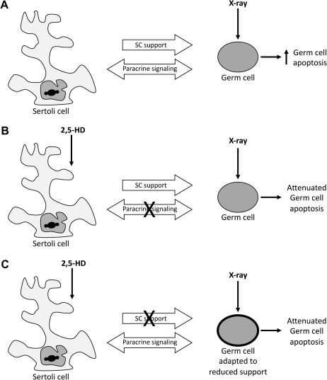 FIG. 7.